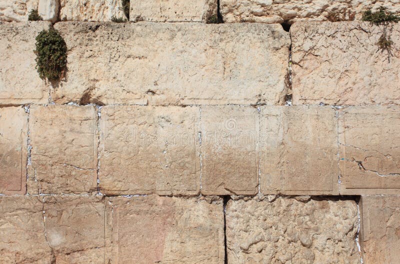 Detail of the Western Wall Limestone Blocks