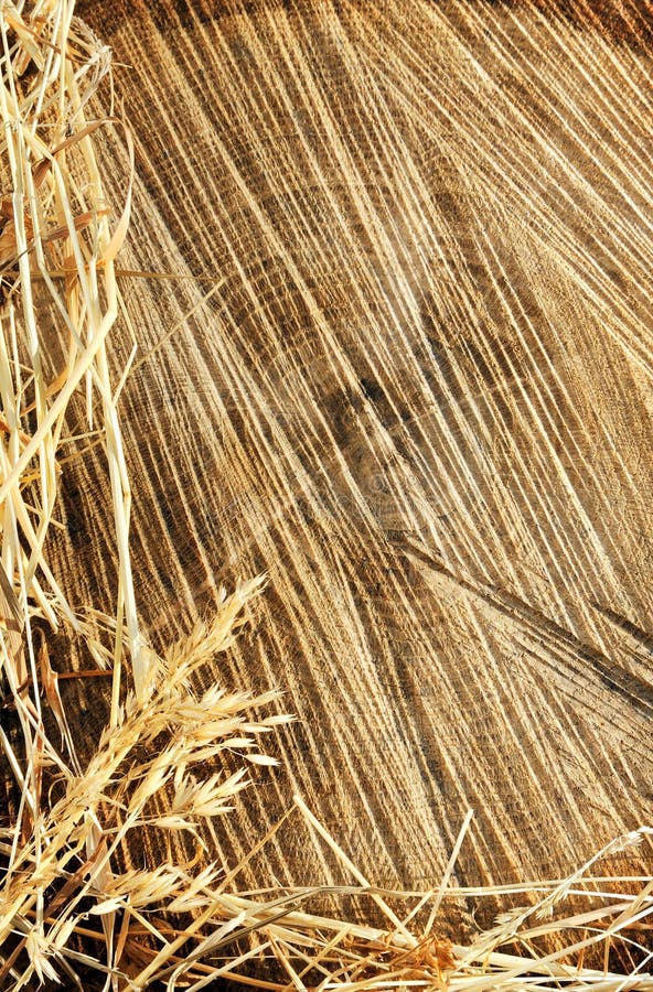 Detail of wooden cut texture and dry grass hay