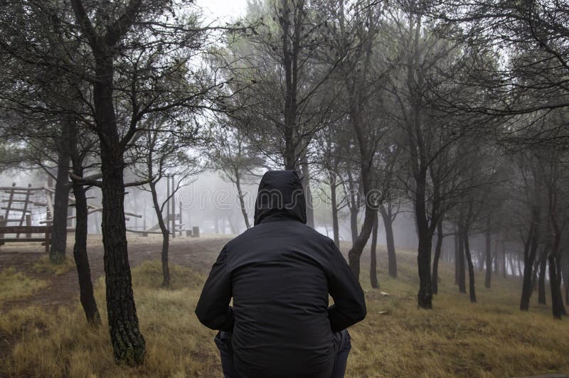 Woman in forest with fog royalty free stock photography