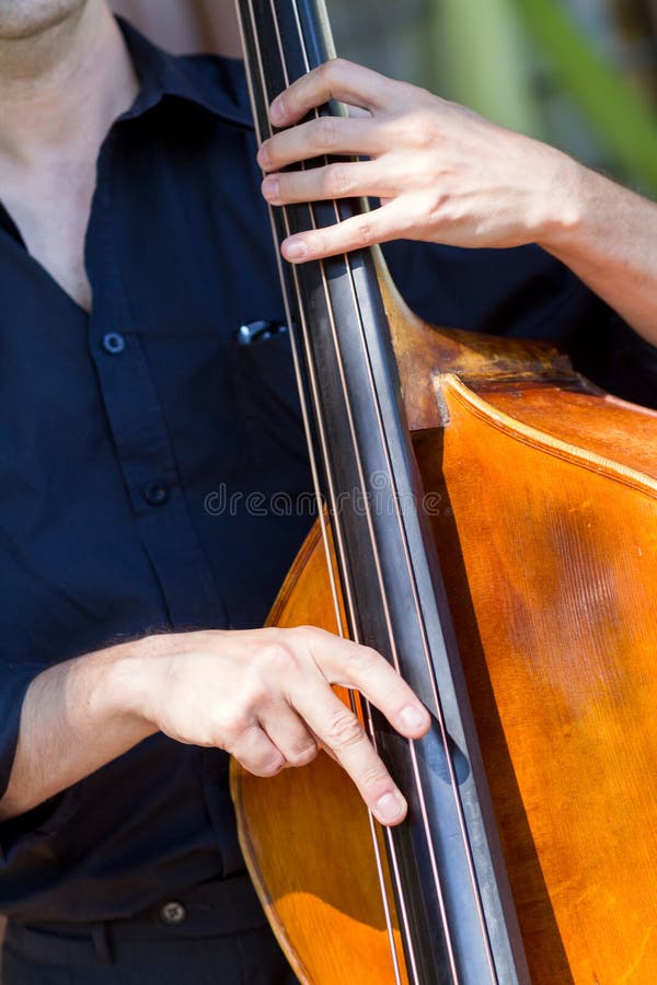 Detail view of a man playing double bass. Detail view of a man playing double bass.