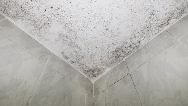 Damp Patches In Bath Roof Bottom View Stock Image Image