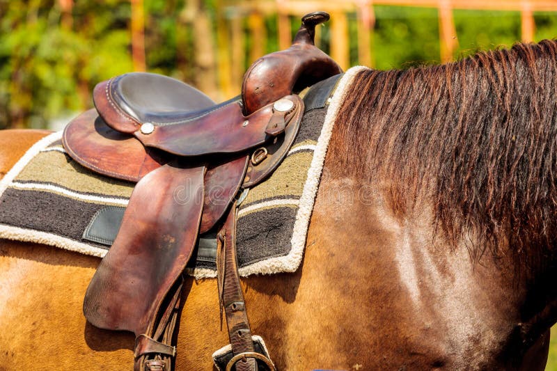 Detailed Close Up of Horse Saddle with Stirrup Stock Photo Image of strap, horse 175494456