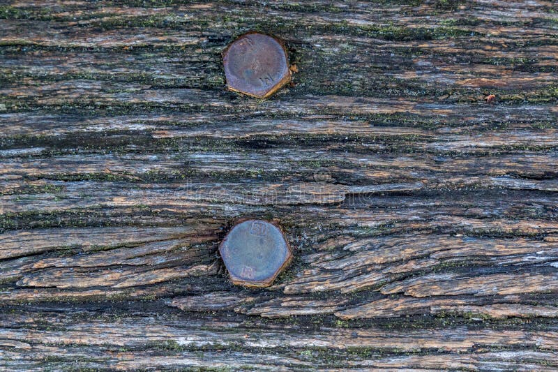 Close Up of Weathered Timber with Rusty Bolts stock images