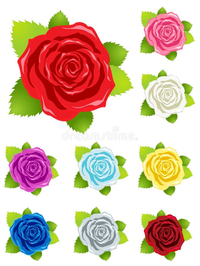 Detailed colorful roses for holiday card design stock illustration