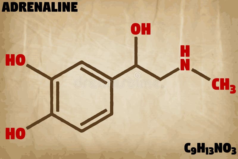Detailed illustration of the molecule of Adrenaline royalty free illustration