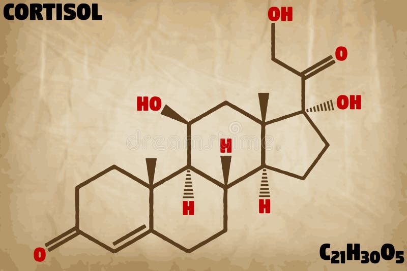 Detailed illustration of the molecule of Cortisol stock illustration