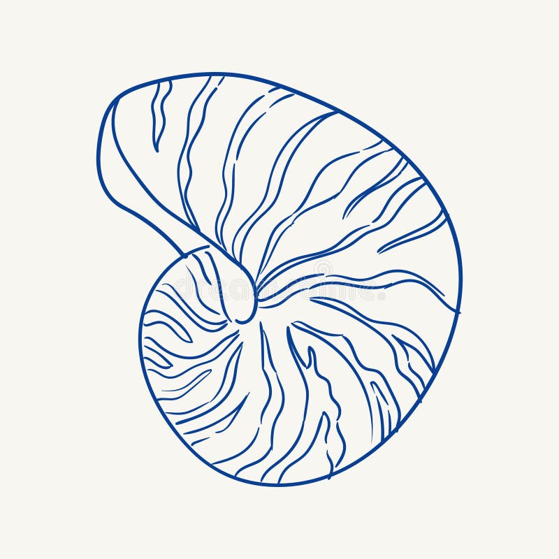 Detailed illustration of a nautilus shell highlighting unique patterns and curves royalty free illustration
