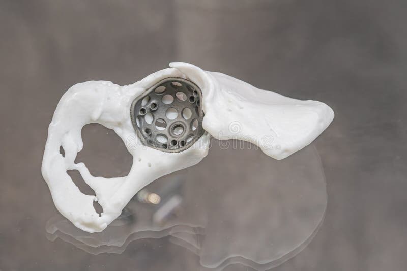 Detailed image of a 3D printed titanium denture resembling a coral reef, white and intricate in design, placed on reflective glass royalty free stock photography