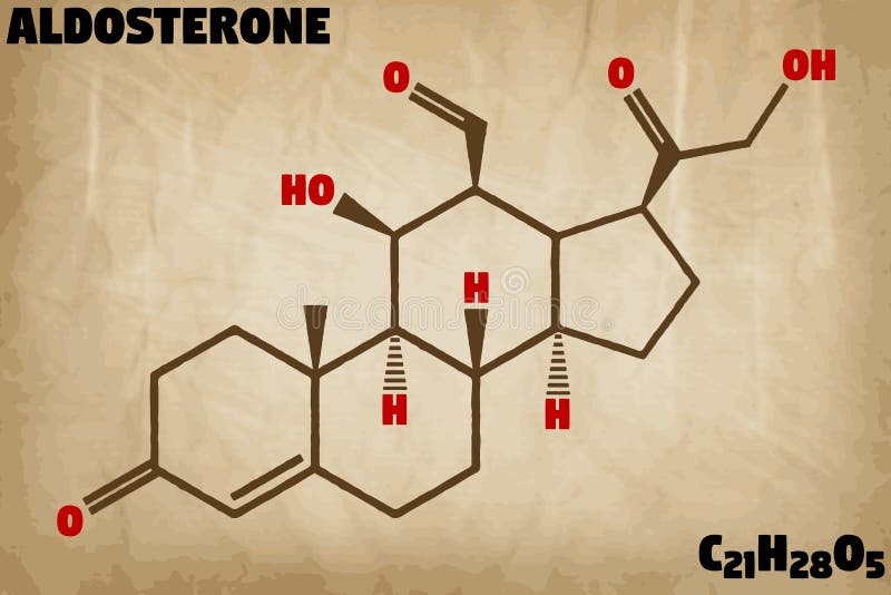 Detailed illustration of the molecule of Aldosterone royalty free illustration