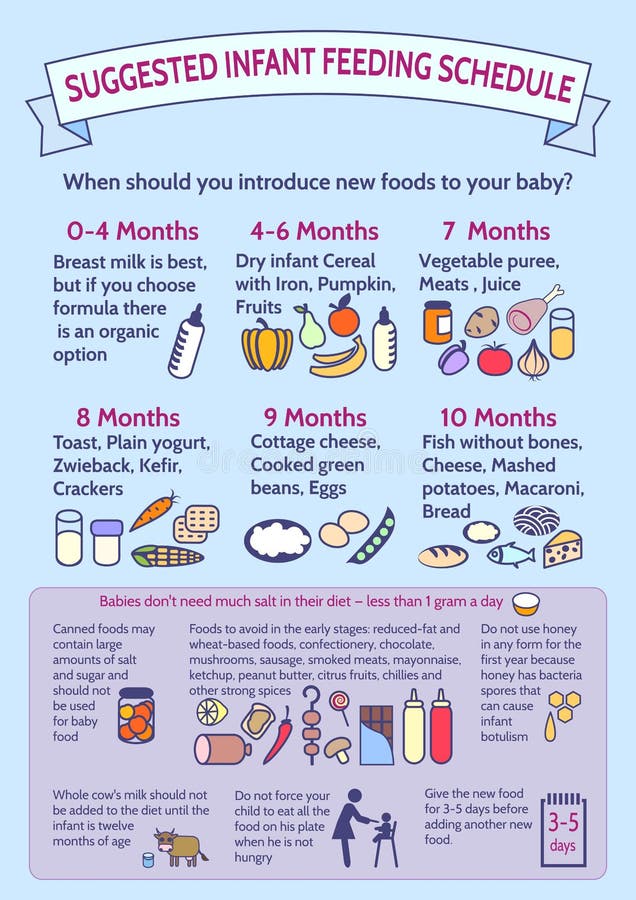 Detailed Information on Baby Food Infographic. Presentation Templ Stock ...