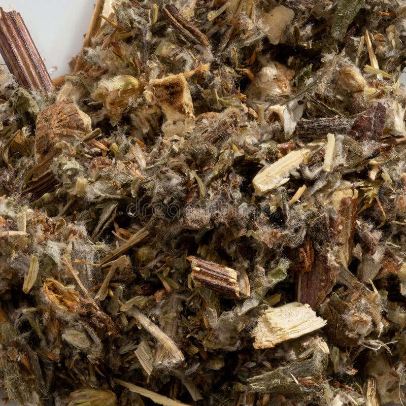 Close Up Shot of Mugwort Spice Stock Image Image of healthy, health