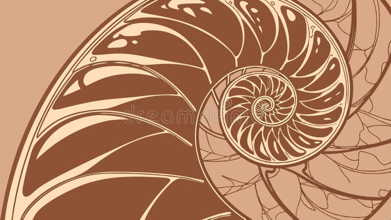 Detailed nautilus shell, natural spiral pattern. vector design Generative AI stock illustration