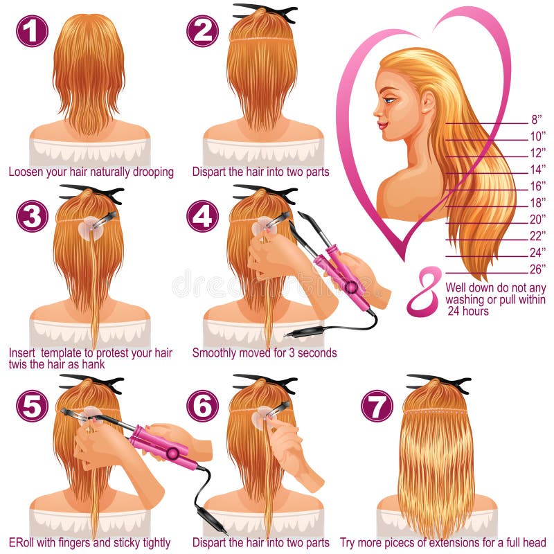Detailed Step by Step for Hair Extension Stock Vector - Illustration of  isolated, chart: 136506624