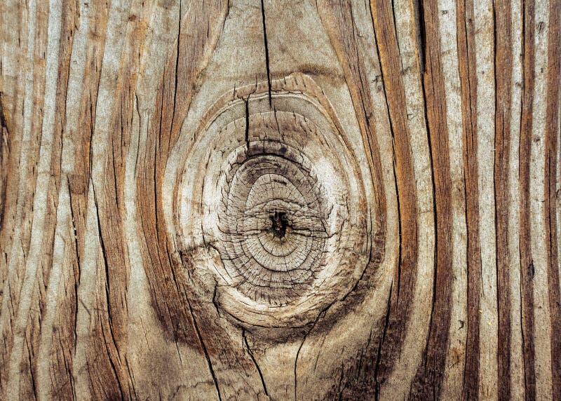 Detailed Wood Texture with Knot and Grain Closeup Stock Photo Image
