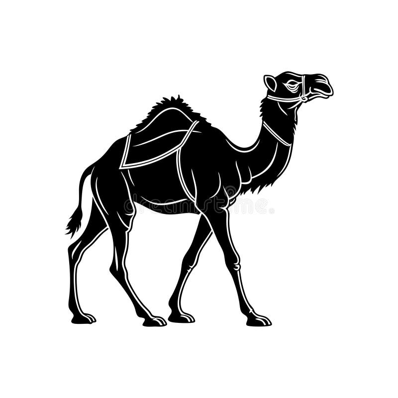 Detaillierte Camel Silhouette stock abbildung