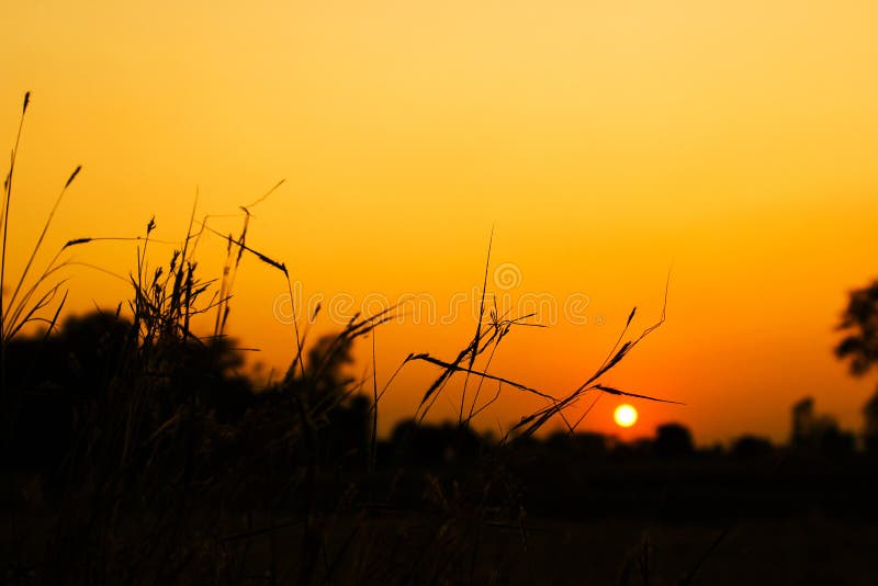 Details of the countryside sunset