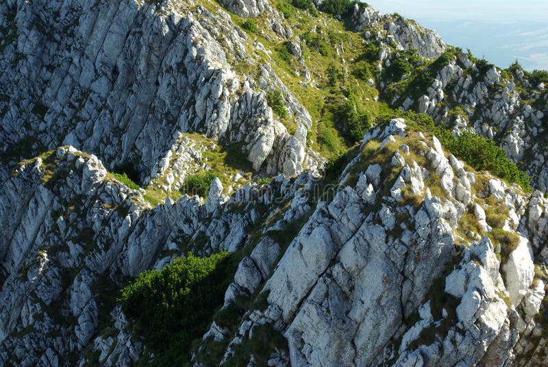 Details of Romanian mountains