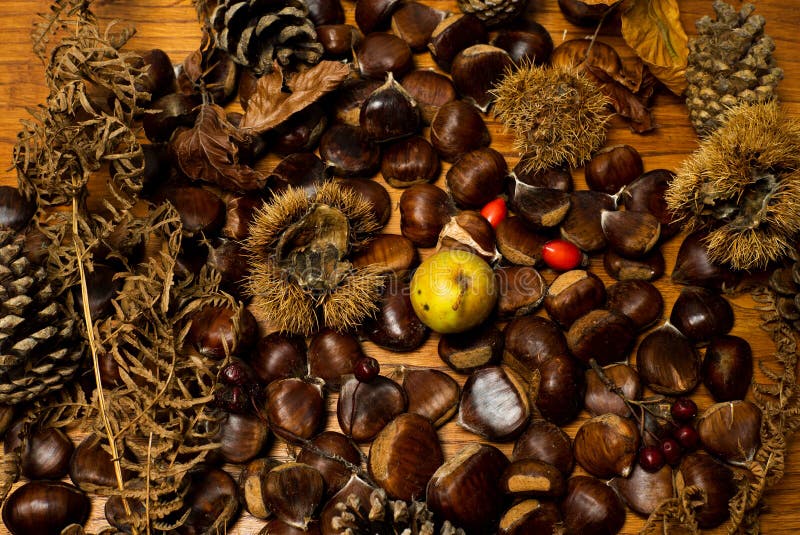 Detalii toamnă. castane cu conuri de pin în coajă, fructe roșii măr. închidere. fruct brun. textură