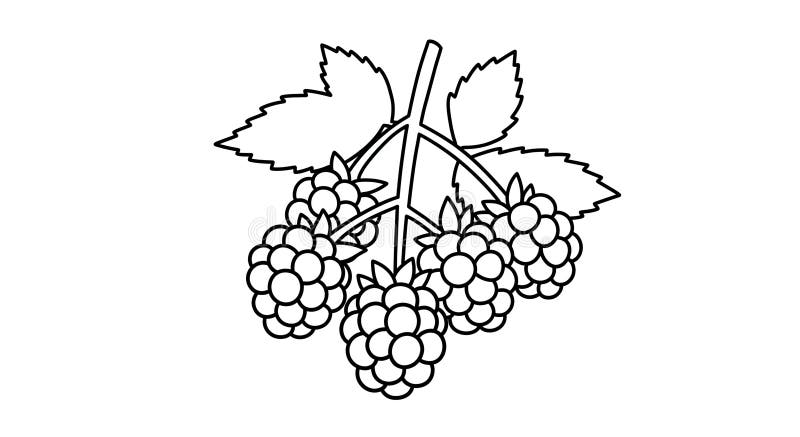 Detaljerad illustration av Blackberry Bunch för Childrens Creative Coloring Pages Fun stock illustrationer