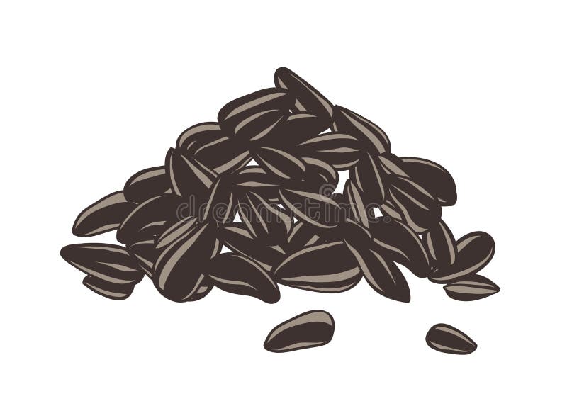 Detaljerad teckning av näven eller hög av solrosfrö eller frukter Kärnor i skrov räcker dragit på vit bakgrund stock illustrationer