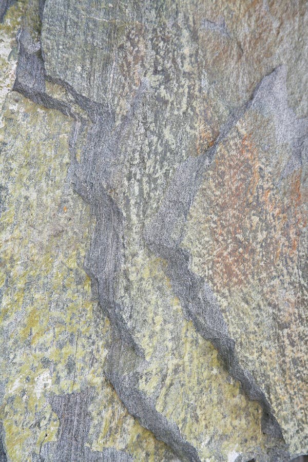 Detaljsten royaltyfria foton