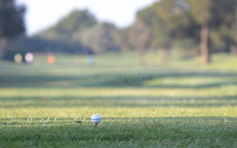 Detalle del torneo del golf en bola