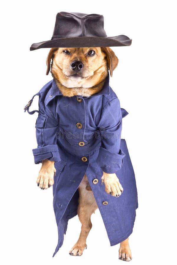 Dog Wearing Rubber Boots stock image. Image of shoes 16877491