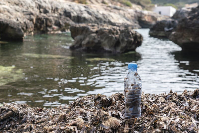 Deteriorated plastic bottle returned by the sea