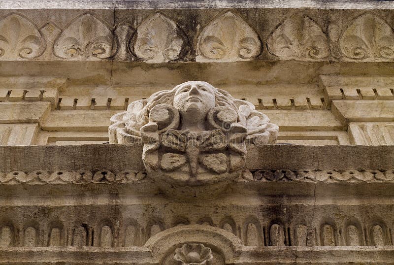 Dettaglio di una farfalla in casa immagine stock