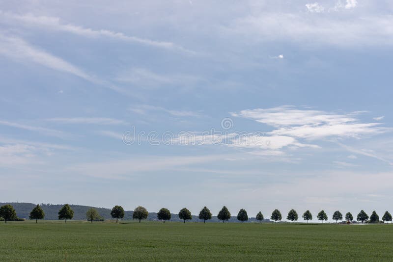 Deutsche Landschaftslandschaft: Reihe Bäume mit Hügeln als Hintergrund stockfoto Deutsche Landschaftslandschaft: Reihe Bäume mit Hügeln als Hintergrund stockfoto