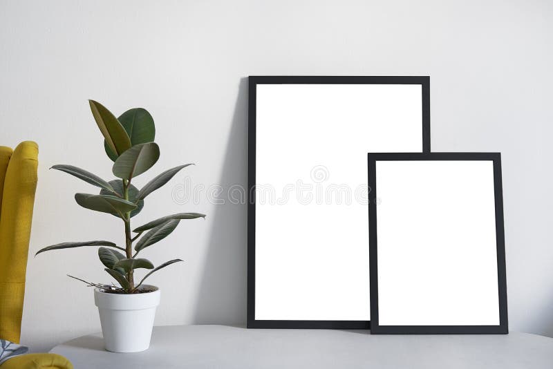 Two Posters in different sizes in black frame in nordic stylish modern interior, ficus, living room. Empty space for design layout. Two Posters in different sizes in black frame in nordic stylish modern interior, ficus, living room. Empty space for design layout.