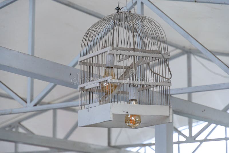 Vieille Cage Oiseaux Photos Stock Téléchargez 105 Photos