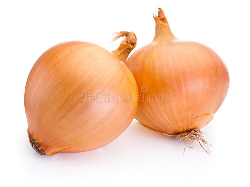 Download Deux Ampoules D'oignon D'isolement Sur Le Fond Blanc Image stock - Image du isolement, nourriture: 56488713