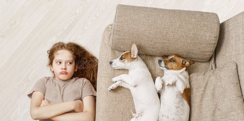 Deux chiens dorment sur le sofa beige et la fille malheureuse se trouvant sur le plancher en bois image stock Deux chiens dorment sur le sofa beige et la fille malheureuse se trouvant sur le plancher en bois image stock