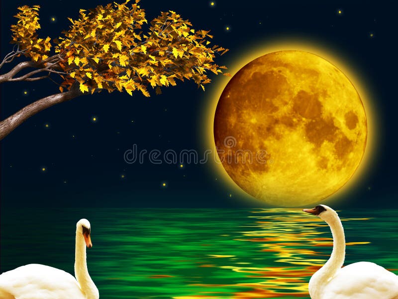 illustration stock deux cygnes pendant la nuit de pleine lune image