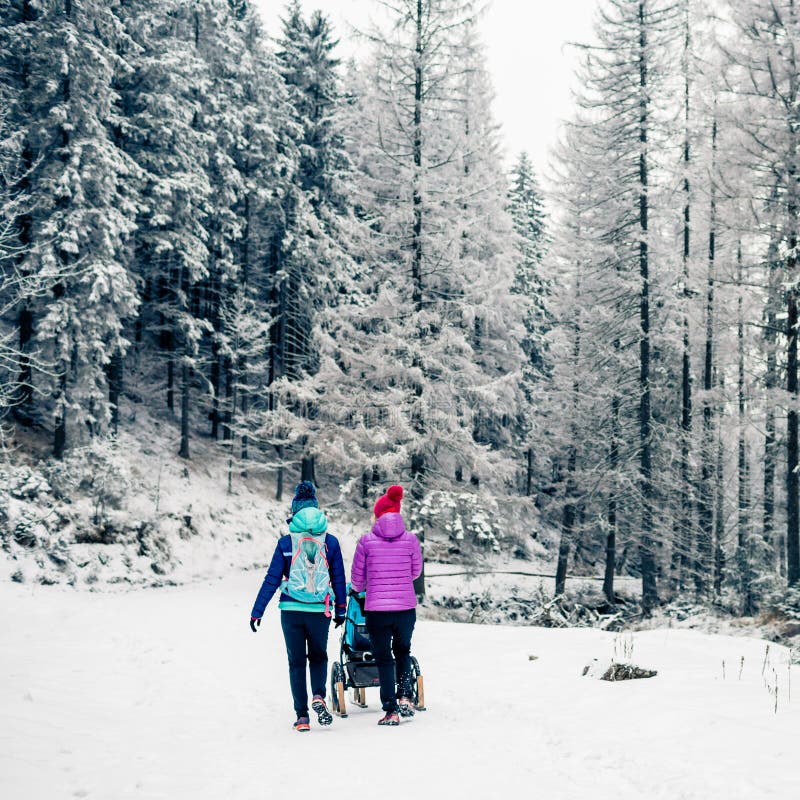 Deux femmes avec le promeneur de bébé appréciant la maternité dans la forêt d'hiver image stock Deux femmes avec le promeneur de bébé appréciant la maternité dans la forêt d'hiver image stock