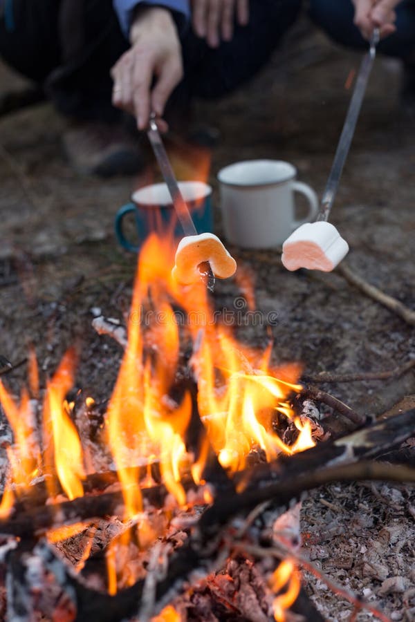 Two girls on picnic in the forest sitting around the campfire and fry marshmallows. Two girls on picnic in the forest sitting around the campfire and fry marshmallows