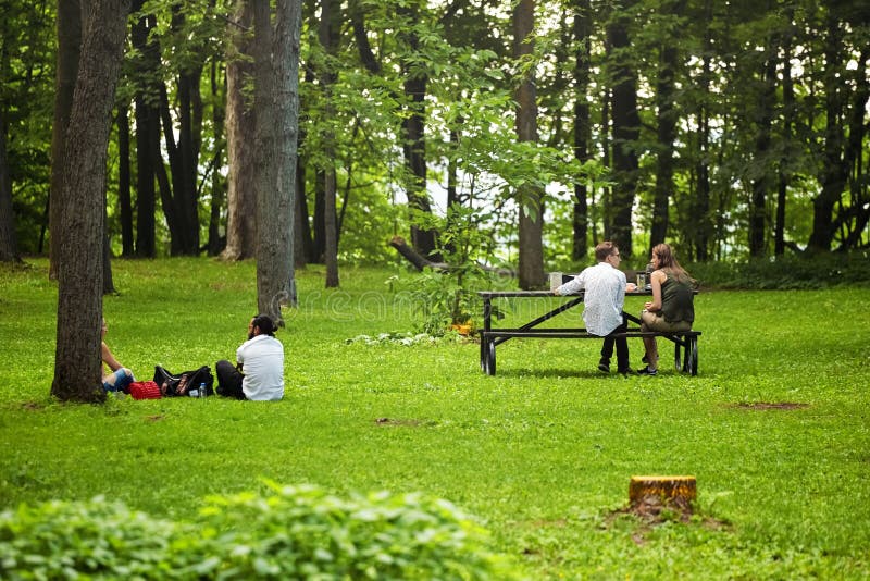 Deux jeunes couples se reposant sur l'herbe et le banc dans la forêt et ayant une conversation en parc royal de bâti, Montréal, C images stock Deux jeunes couples se reposant sur l'herbe et le banc dans la forêt et ayant une conversation en parc royal de bâti, Montréal, C images stock