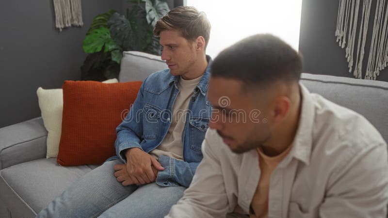 Deux jeunes hommes assis dans un salon moderne avec des oreillers et des plantes engagés dans une conversation sérieuse faisant al banque de vidéos