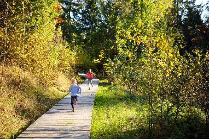 Deux jeunes soeurs mignonnes ayant l'amusement pendant la hausse de for?t le beau jour d'?t? Enfants explorant la nature Loisirs photographie stock Deux jeunes soeurs mignonnes ayant l'amusement pendant la hausse de for?t le beau jour d'?t? Enfants explorant la nature Loisirs photographie stock