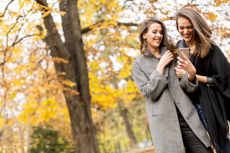 Deux jolies jeunes femmes à l'aide du téléphone portable dans la forêt d'automne images libres de droits Deux jolies jeunes femmes à l'aide du téléphone portable dans la forêt d'automne images libres de droits