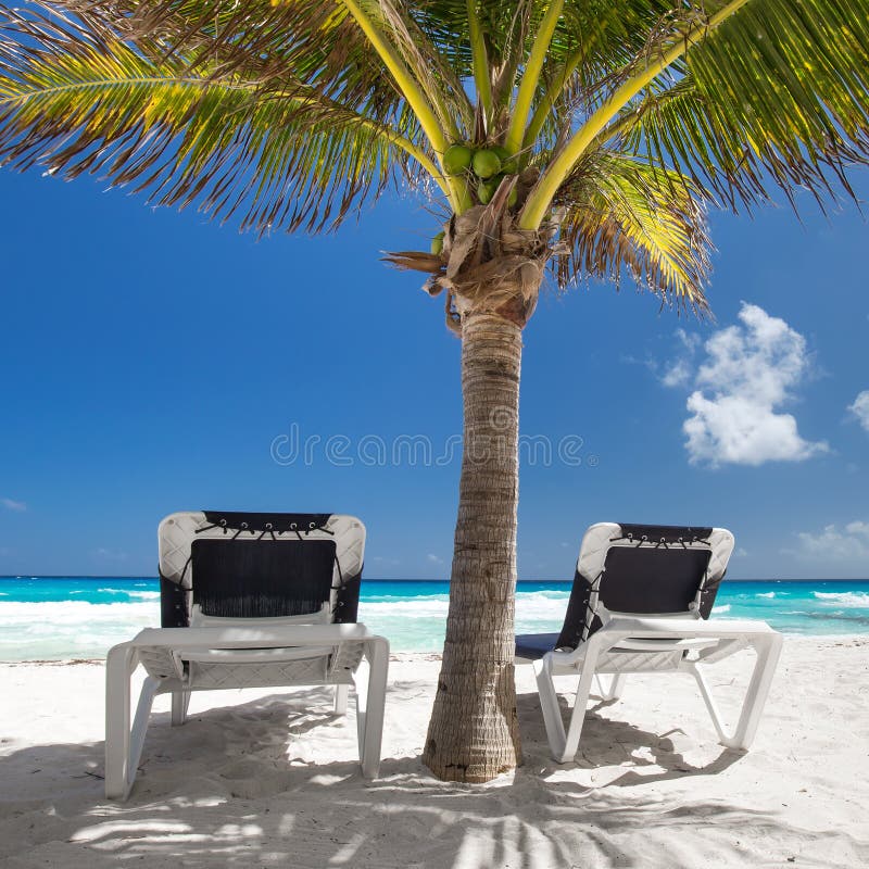 Deux lits de plage sous le palmier sur le front de mer photographie stock