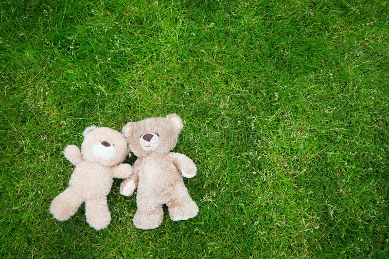 Deux ours de nounours fixant pour le fond de Valentine images stock Deux ours de nounours fixant pour le fond de Valentine images stock