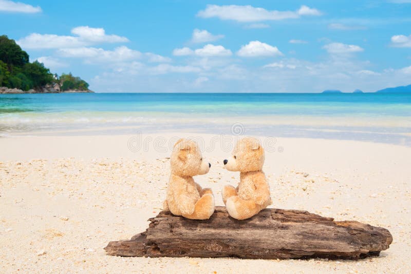113 Nounours D Ours De Plage Photos Libres De Droits Et Gratuites De Dreamstime 113 Nounours D Ours De Plage Photos Libres De Droits Et Gratuites De Dreamstime