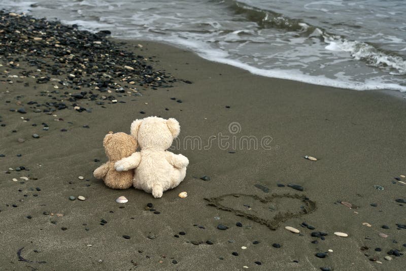 113 Nounours D Ours De Plage Photos Libres De Droits Et Gratuites De Dreamstime