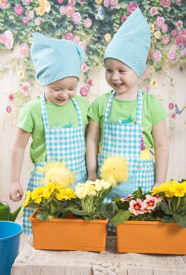 Deux petites petites filles adorables jouent avec les poussins jaunes photos libres de droits Deux petites petites filles adorables jouent avec les poussins jaunes photos libres de droits