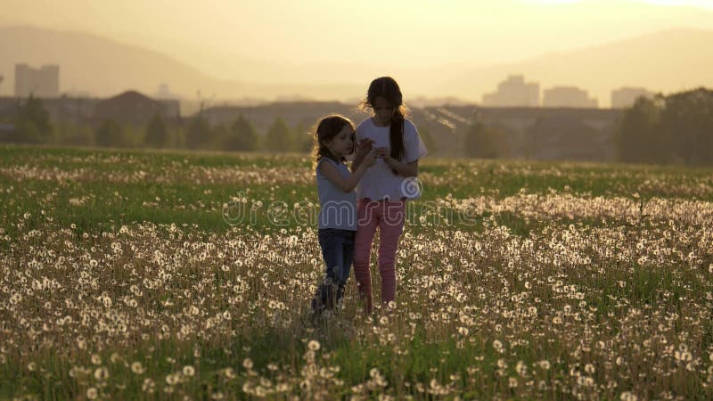 Deux petites soeurs rassemblent des fleurs de pissenlit et les soufflent dans le vent soufflées les petites filles jouent ont l'a