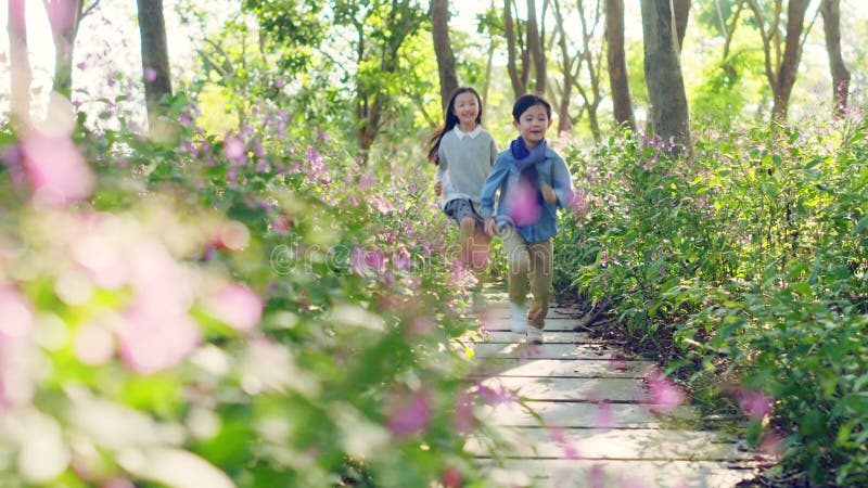 Deux petits enfants asiatiques courant par le gisement de fleur en parc