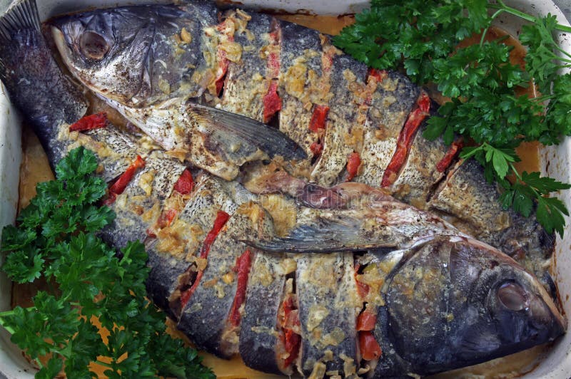 Deux poissons cuits au four photographie stock Deux poissons cuits au four photographie stock