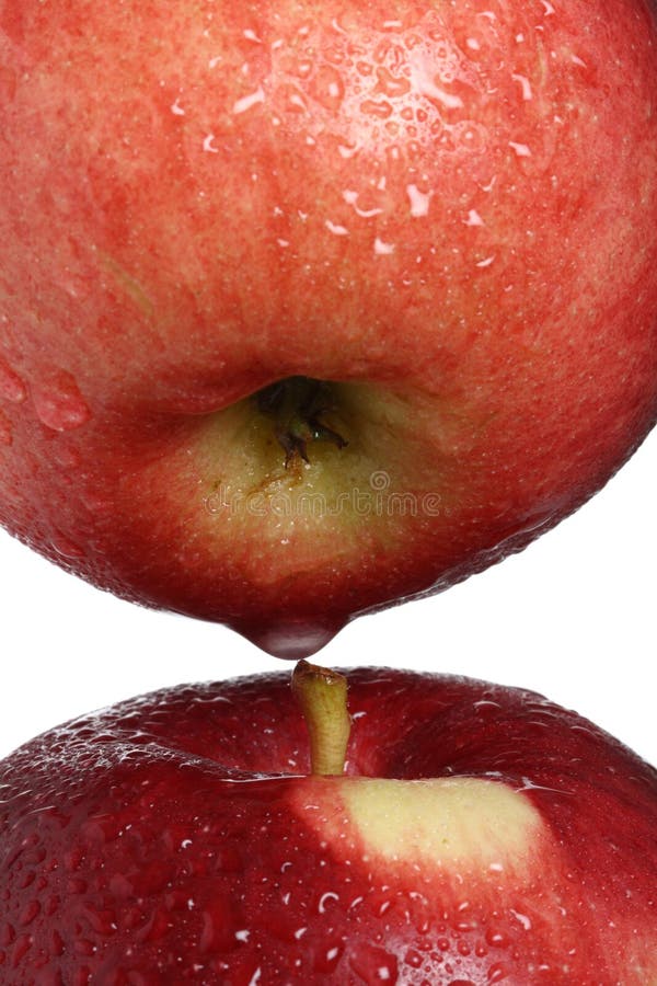 Two red apples with drops of water free-standing, soft focus on cores. Two red apples with drops of water free-standing, soft focus on cores